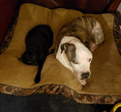 deuce n mr sweetie.jpg